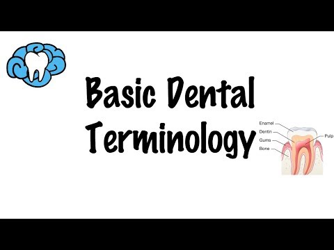 Basic Dental Terminology - HealthTricksPlace.com